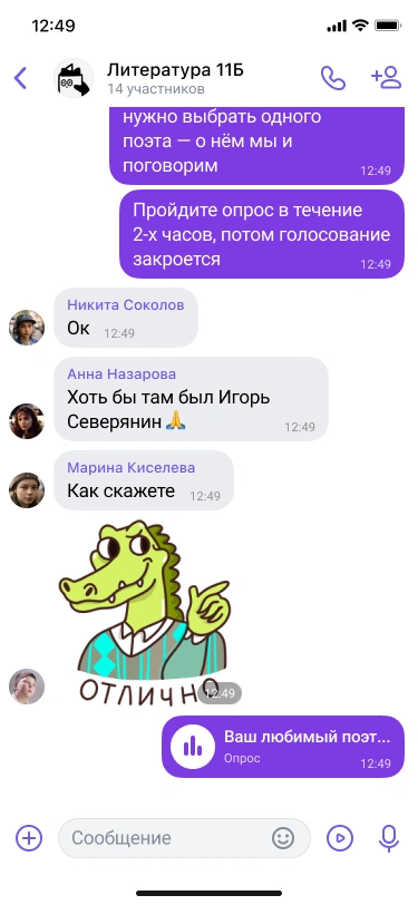 Скриншот проекта Сферум